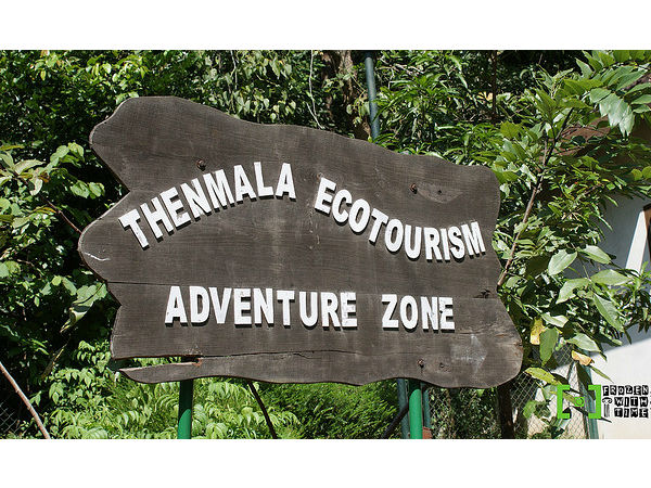 పక్షి సందర్శన, తేన్మల