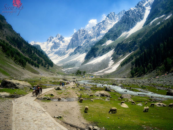 తజివాస్ గ్లేసియర్