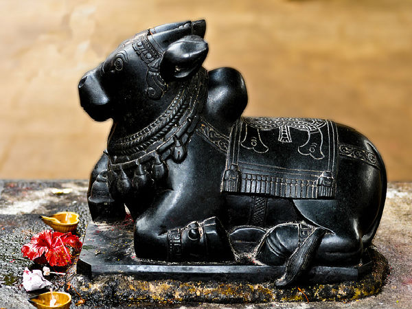 ఆలయంలో ఇతర దేవతలు