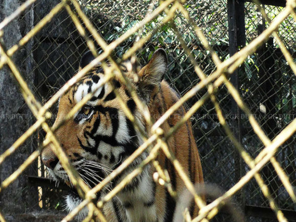 ఇటానగర్ వన్య ప్రాణుల అభయారణ్యం
