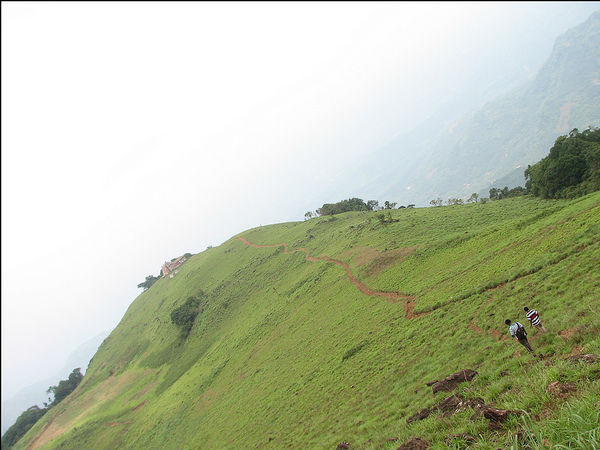 ప్యాథల్ మల