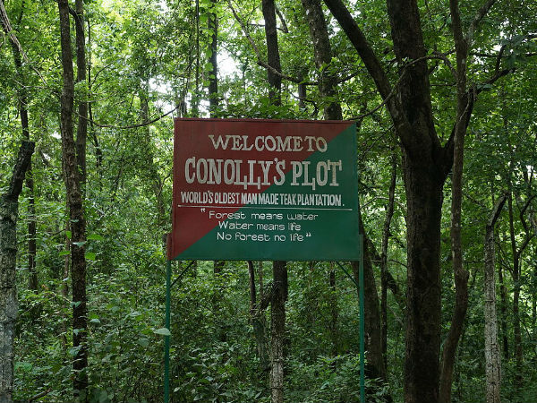 కొనోలీ ప్లాట్