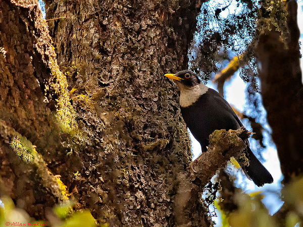 బిన్సార్ వైల్డ్ లైఫ్ స్యాంక్చురీ