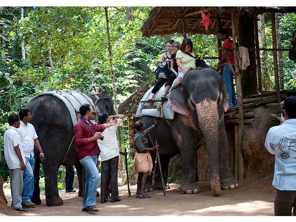 తేక్కడి