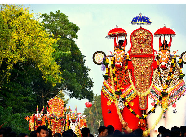 పండగలు, ఉత్సవాలు