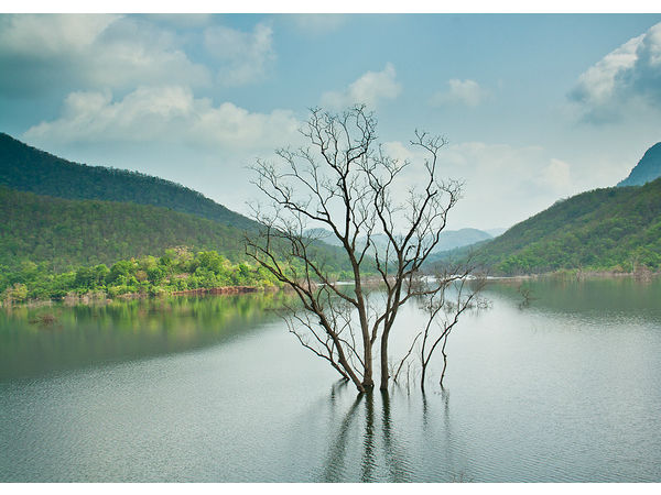 మొదటి రోజు