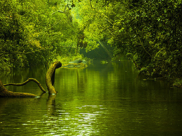 కూర్గ్ ఇతర ప్రదేశాలు