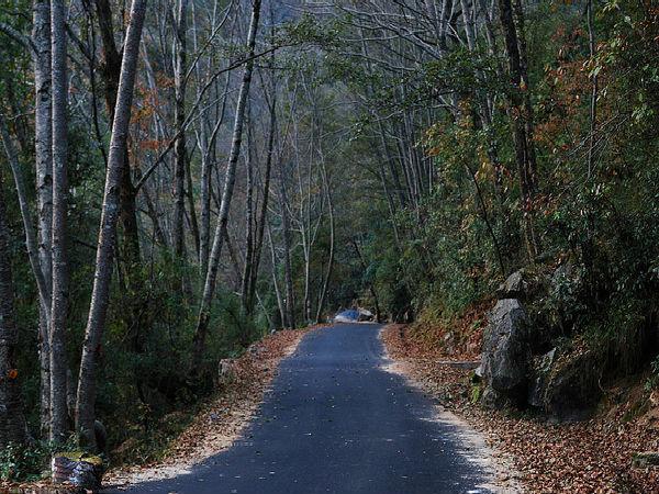 చోప్త ఎలా చేరుకోవాలి ?