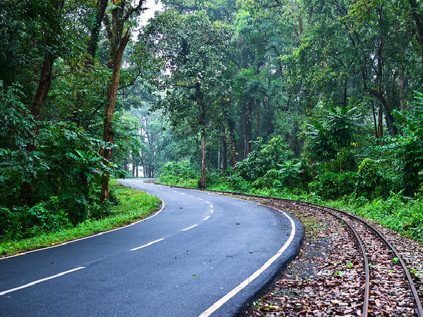 డార్జీలింగ్ ఎలా చేరుకోవాలి ?