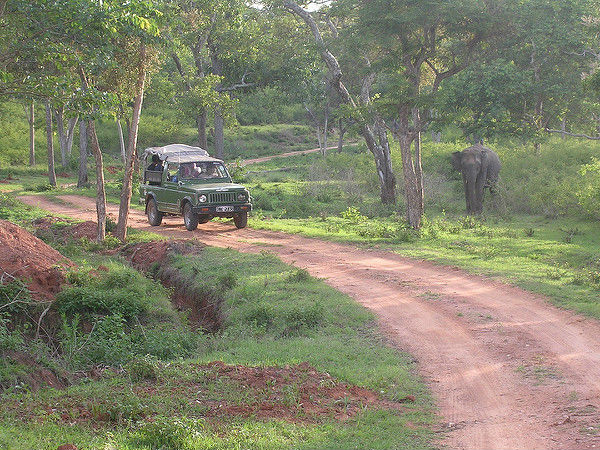 ముదుమలై నేషనల్ పార్క్ 