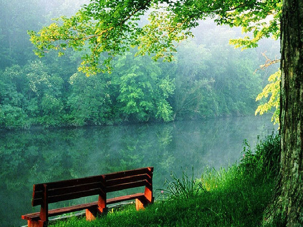 'భూ'మాత సేవ .. చెప్పతరమా ??