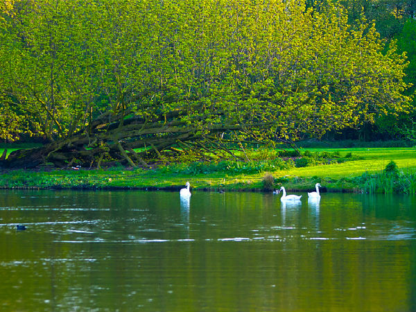 'భూ'మాత సేవ .. చెప్పతరమా ??