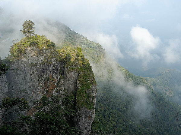 గ్రీన్ వ్యాలీ వ్యూ 