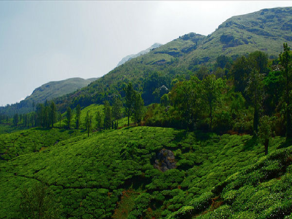 కలపెట్ట చేరుకోవటం ఎలా ?