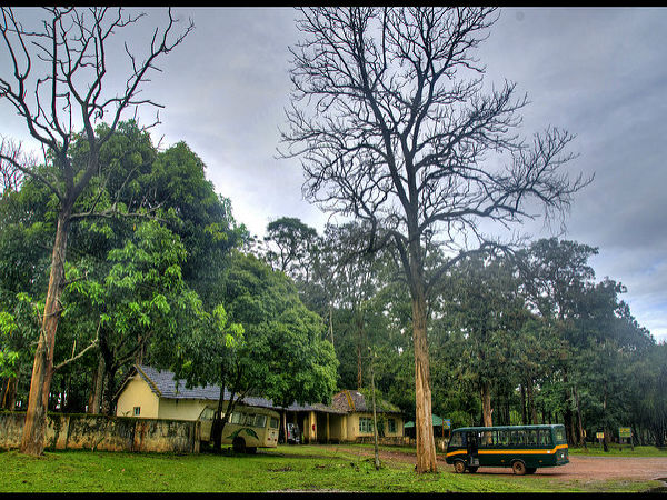 బస్ సఫారీ, నాగరహోళే 