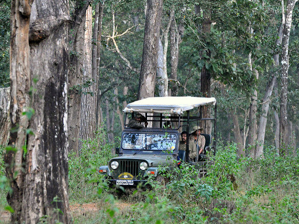 జీప్ సఫారీ, నాగరహోళే 