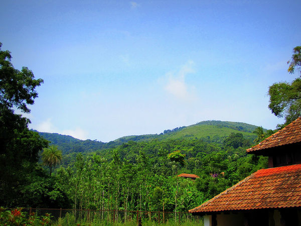 కూర్గ్ వైల్డ్ లైఫ్ సొసైటీ 