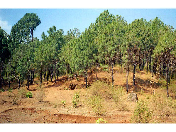 పురాణ గాధ 