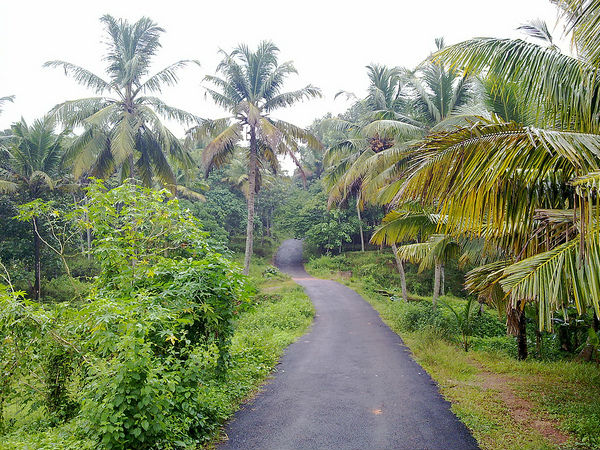 బస్సు మార్గం