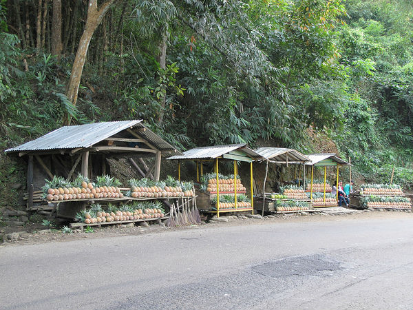 రోడ్డు మర్గం, పెరెన్