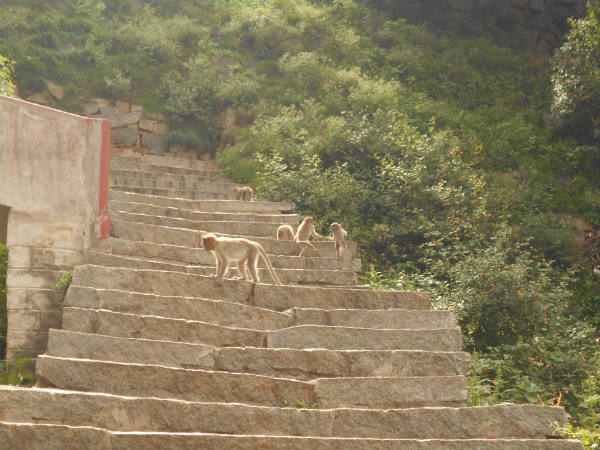 బస్సు లో ఎలా వెళ్ళాలి ?