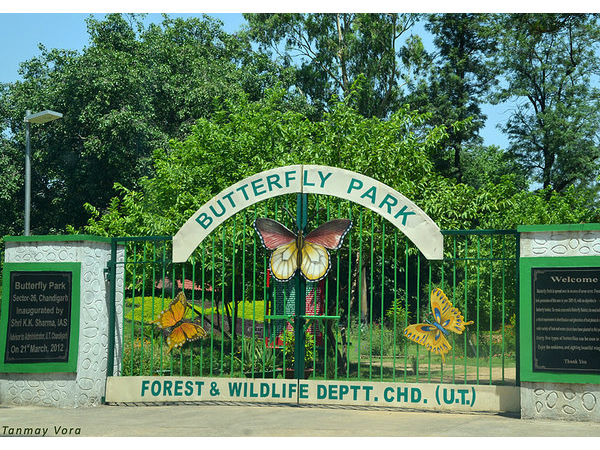 బటర్ ఫ్లై పార్క్, చండీఘర్