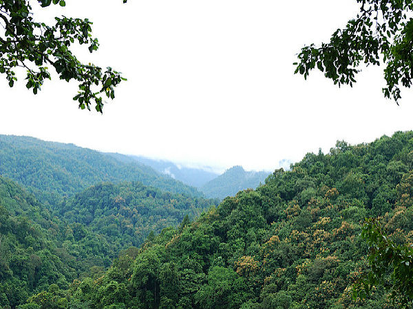 దండేలి వన్య ప్రాణుల అభయారణ్యం