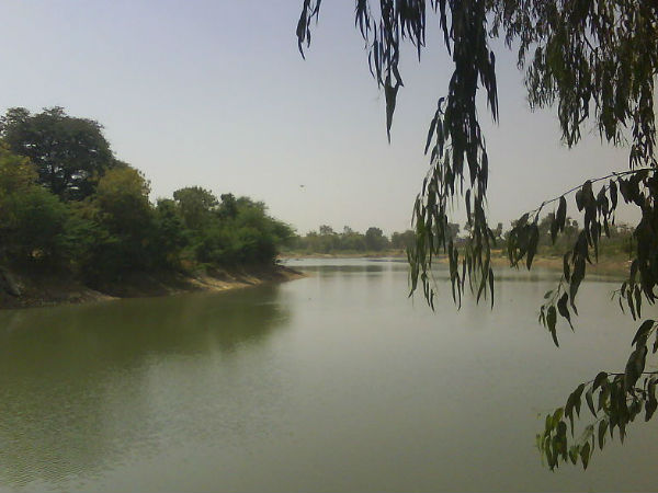 పాలి ఎలా చేరుకోవాలి ?