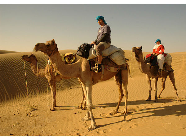 ఒంటెల సఫారీ