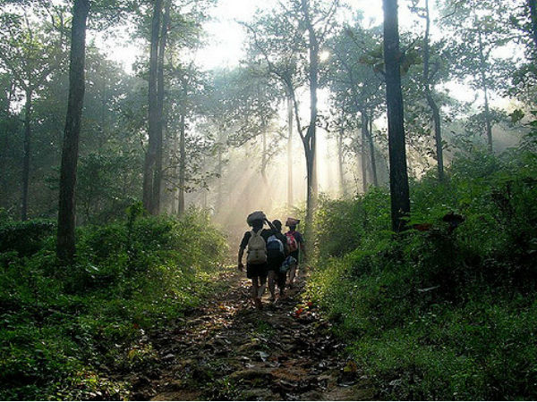 స్వామియే ... శరణమయ్యప్ప !