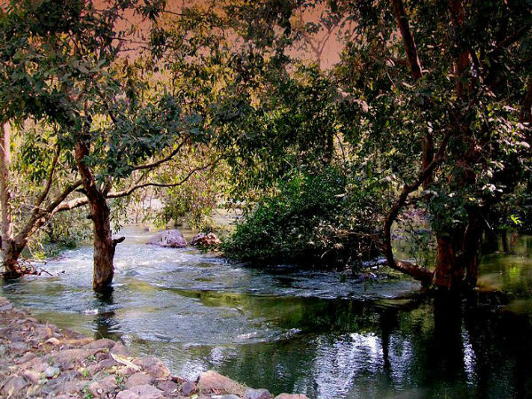 గాంధీ సాగర్ అభయారణ్యం