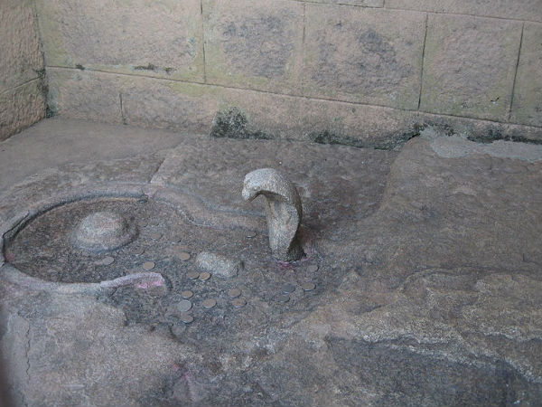 ఒక సర్పము మండూకానికి నీడ కల్పించే దృశ్యం 