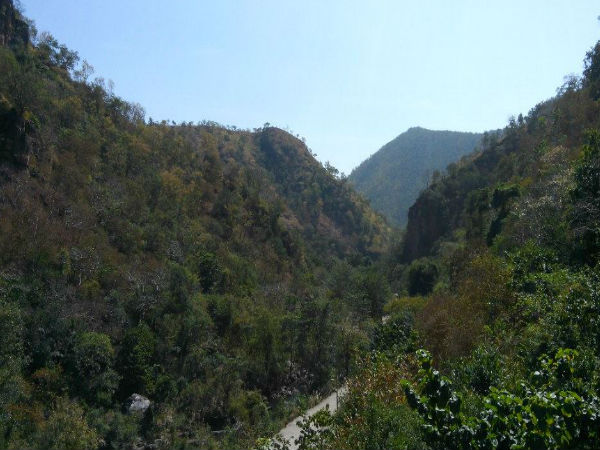 నల్లమల అడవిలో