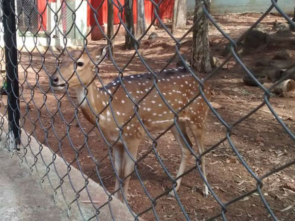 నీటి కరువులోనూ
