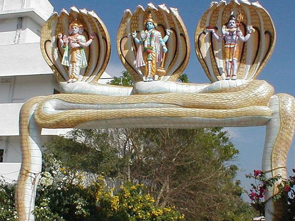 రవాణా వ్యవస్థ సురేంద్రపురి ఎలా చేరుకోవాలి ?