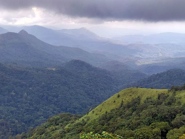 పెప్పర వన్య ప్రాణుల అభయారణ్యం