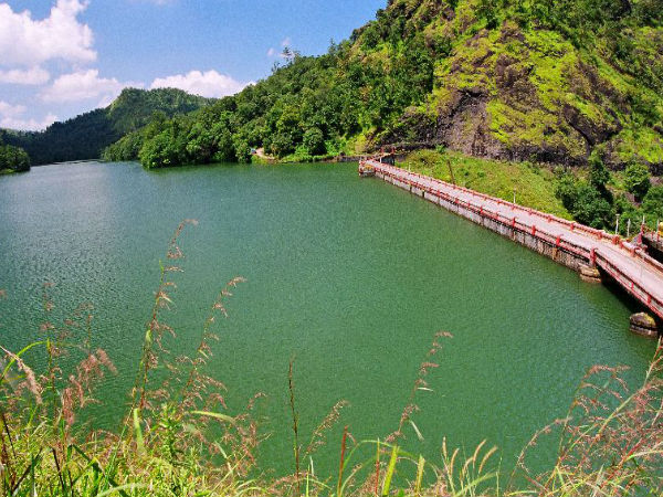 వన్య జంతువులు