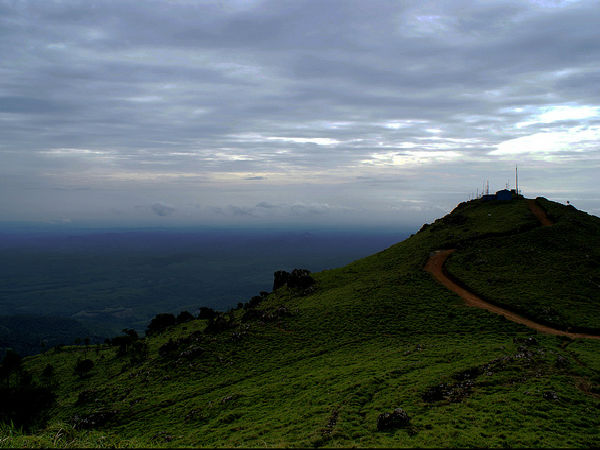 డీర్ పార్క్