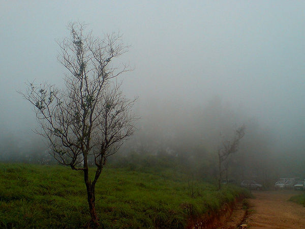 ఎలా చేరుకోవాలి ?