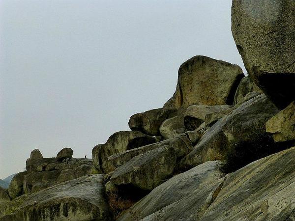 విధిత గుహలు 