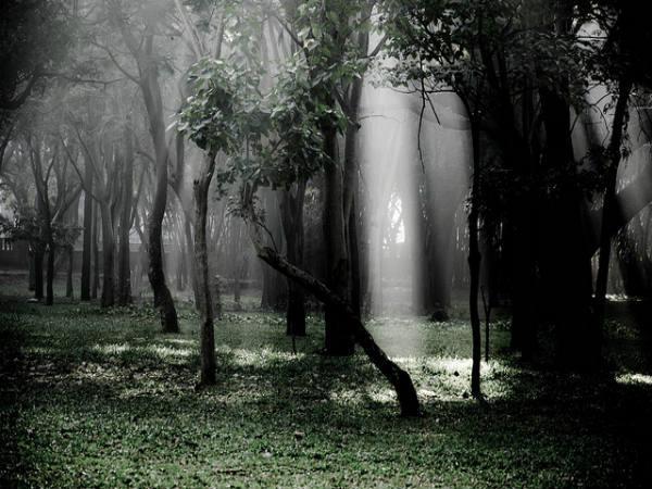 బెంగళూరు