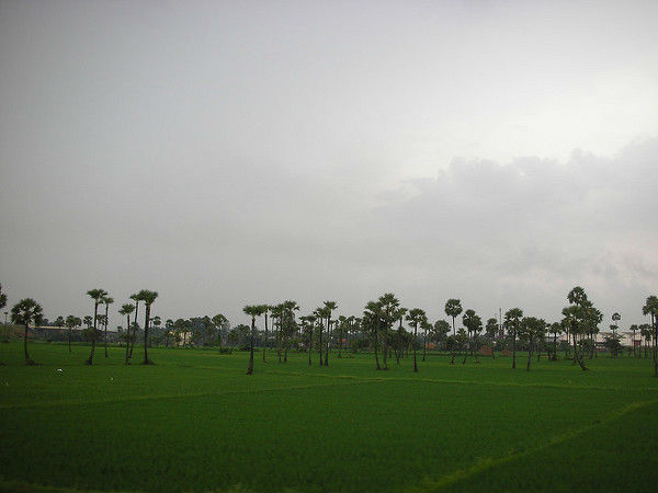 దివిసీమ