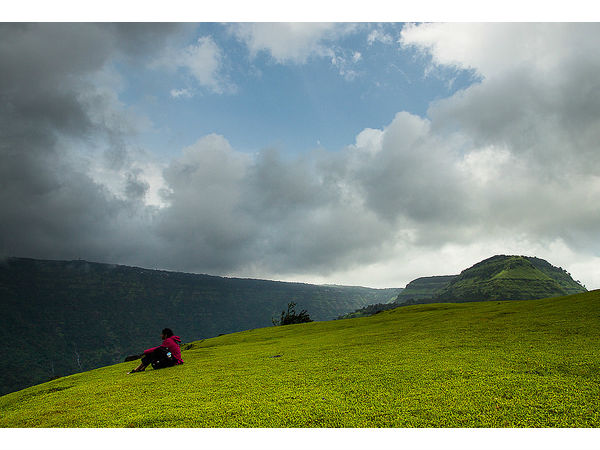 పార్క్యూ పైన్ పాయింట్