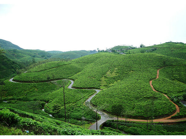 మన్నార్ రహదారి