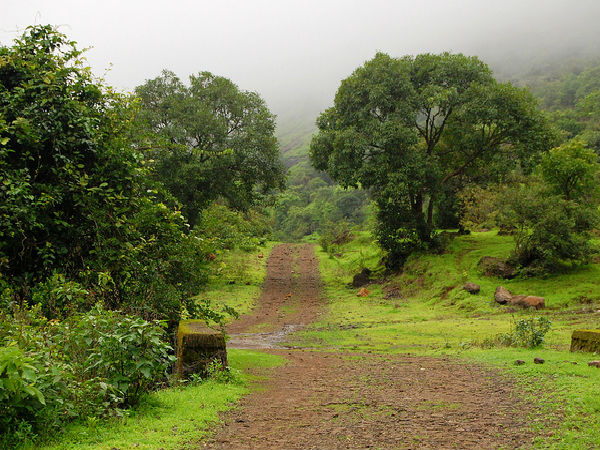 రాజమాచి