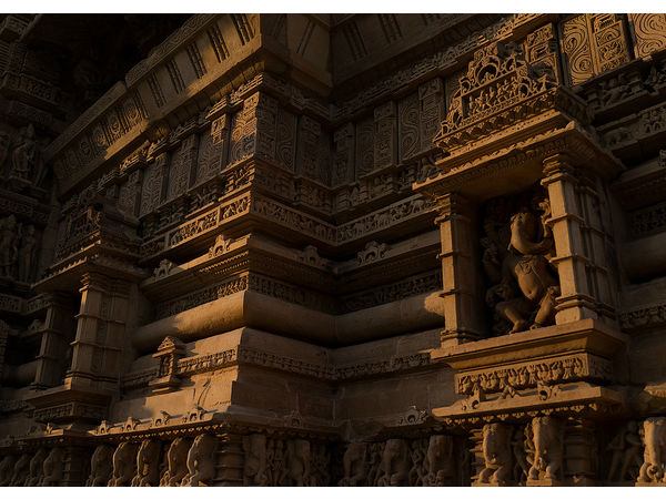 కొబ్బరి కాండాలు