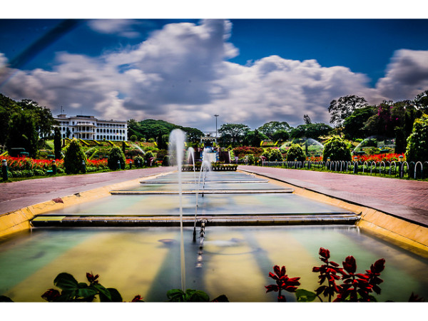 ఉద్యానవనం