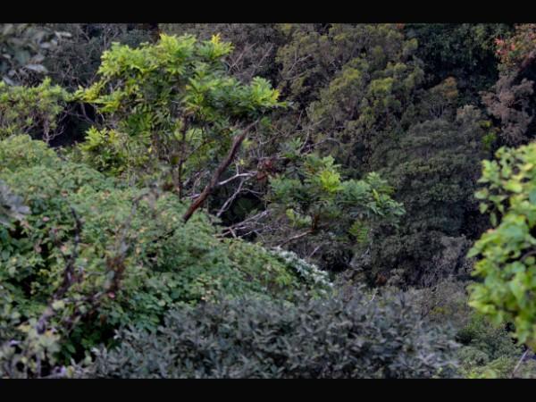 మూడవ రోజు