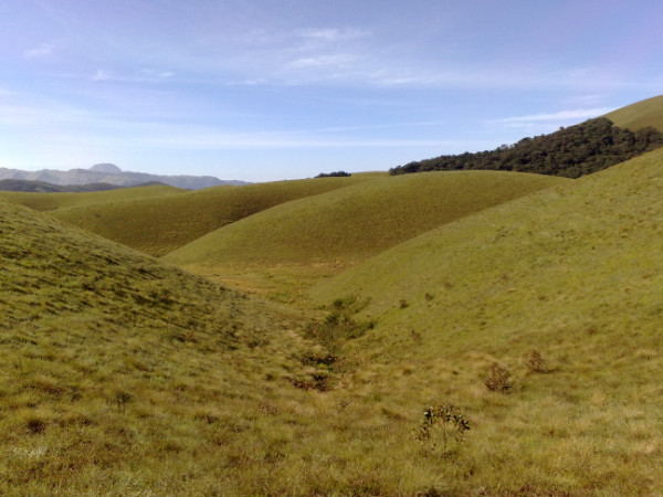 అందిపలయం సరస్సు