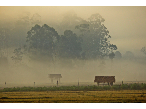 గురు ఘసిదాస్ నేషనల్ పార్క్